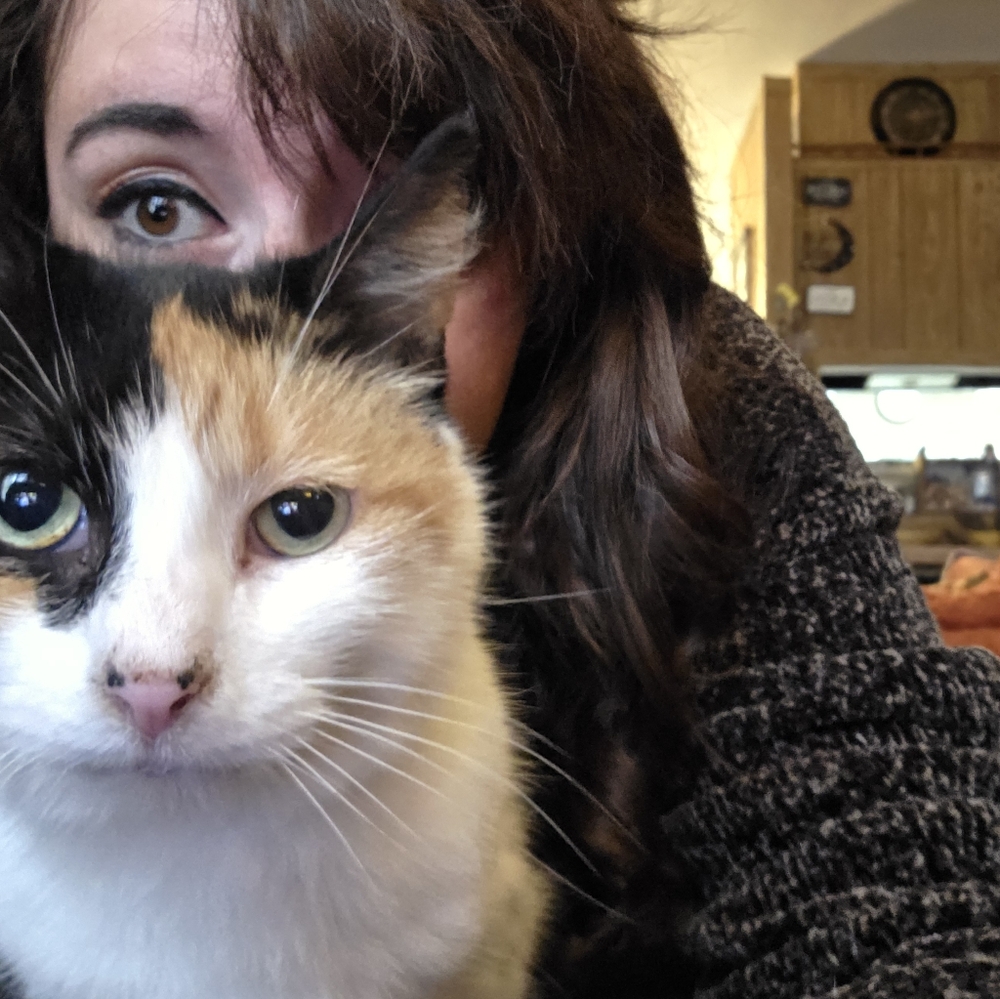 UPDATE Please Read - Picture 6 of 8